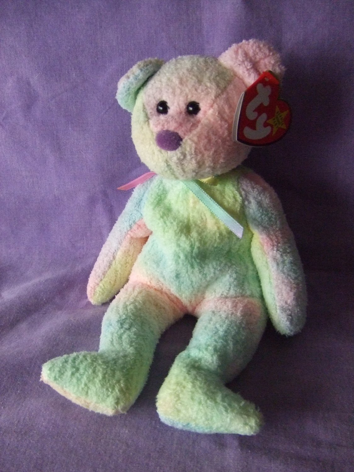 TY Beanie Baby Groovy the Pastel Multi Color Bear