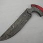 Full Tang Damascus Steel Hand Made Fixed Blade Knife & Seasond Wood Handle + Genuine Leather Sheath
