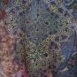 Graphic Print Knit Top, Medium, DECREE