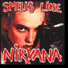 Smells Like Nirvana: A Tribute To Nirvana (2000) - CD