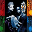 Prime Minister/ Pete Nice / Daddy Rich  - DUST TO DUST (1994) - CD