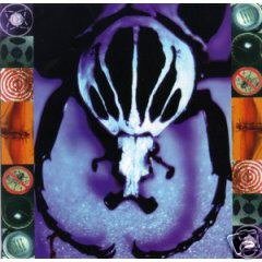 AGE OF ELECTRIC - Make a Pest a Pet (1997) - CD