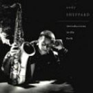 ANDY SHEPPARD - Introductions In The Dark (1989) - Cassette Tape