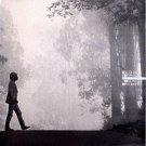 MILTON NASCIMENTO - Encontros E Despedidas (1985) -LP