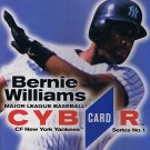 MLB CybrCard Series No. 1: Bernie Williams - CD-ROM