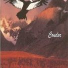 RUNA PACHA - Machu Picchu Vol.4 (1994) - Cassette Tape