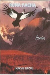 RUNA PACHA - Machu Picchu Vol.4 (1994) - Cassette Tape