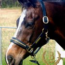 The Nameplate Halter