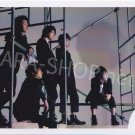 SHOP PHOTO - ARASHI - 2012 Wild at Heart [PV] #384
