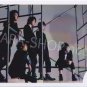 SHOP PHOTO - ARASHI - 2012 Wild at Heart [PV] #384