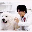 SHOP PHOTO - NewS - NISHIKIDO RYO #015