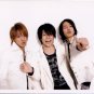 SHOP PHOTO - NewS - GROUP/MIXED #003