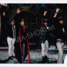SHOP PHOTO - NewS - GROUP/MIXED #015