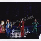 SHOP PHOTO - NewS - GROUP/MIXED #038
