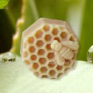 bees Soap Mold Silicone Mold Jelly Mold Cake Mold