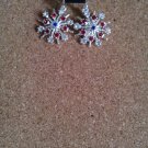 Snowflake Earings