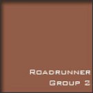 Roadrunner