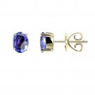 14K ExquisiteTanzanite Earrings (NEW ARRIVAL)