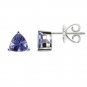 14K ExquisiteTanzanite Earrings (NEW ARRIVAL)