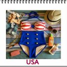 USA Retro High Waist Swimsuits (White & Red Top and Blue Bottom) L/XL