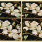 White Dogwood Coaster Set of 4