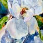 Magnolia 2 painting