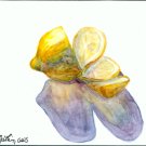 Lemon Slices