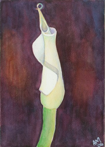 Calla Lily- Baby Calla, watercolor on Clayboard