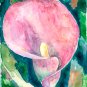 Pink Calla Lily- watercolor on Yupo