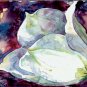 White Tulip- watercolor on Yupo