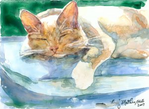 Cat Nap- yupo reproduction print