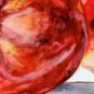 2 Red Tomatoes- reproduction/print