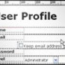 Form Layout Using CSS