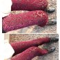 Sexy cut-out lace tight leggings