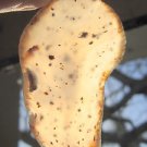 Moss Agate Stone Rock Jewelry Making Healing