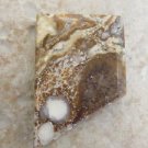 Arizona Wild Horse Appaloosa Magnesite Cabochon Jewelry Making Healing Stone aw