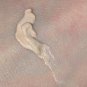 Colorescience Sheer Creme Foundation Light As A Feather Sun protection A04434