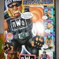 Toy Biz WCW NWO 21" Talking Plush Bashin Brawlers Hulk Hogan Action Figure wwe