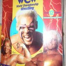 Galoob Tara Toy WCW Collectors Case Sting Ric Flair Lex Luger Action Figure wwe