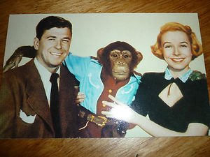 Ronald Reagan Bedtime for Bonzo Postard Diana Lynn Ephemera 1981 SC17488