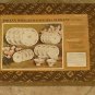 Johann Haviland Moss Rose 20 Pc Set 4:Cups Dinner Plates etc NEW Bavaria Germany