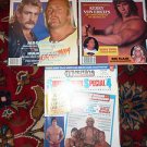 Pro Wrestling Illustrated Super Color Special Poster Magazine 2, or 3 1985 1986