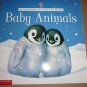 Childrens Book Scholastic Usborne Lift the Flap Book Baby Animals