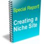 Creating a niche site reports