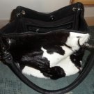 Ladies purse, cowhide Shoulder strap bag, tote bag, cowhide leather bag, cow hide rugs