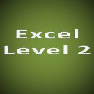 Microsoft Excel 2010 Intermediate Level 2 - Live Training