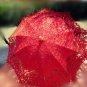 free shipping Exquisite White/Ivory Battenburg Lace Wedding Parasol Umbrella Bridal Shower