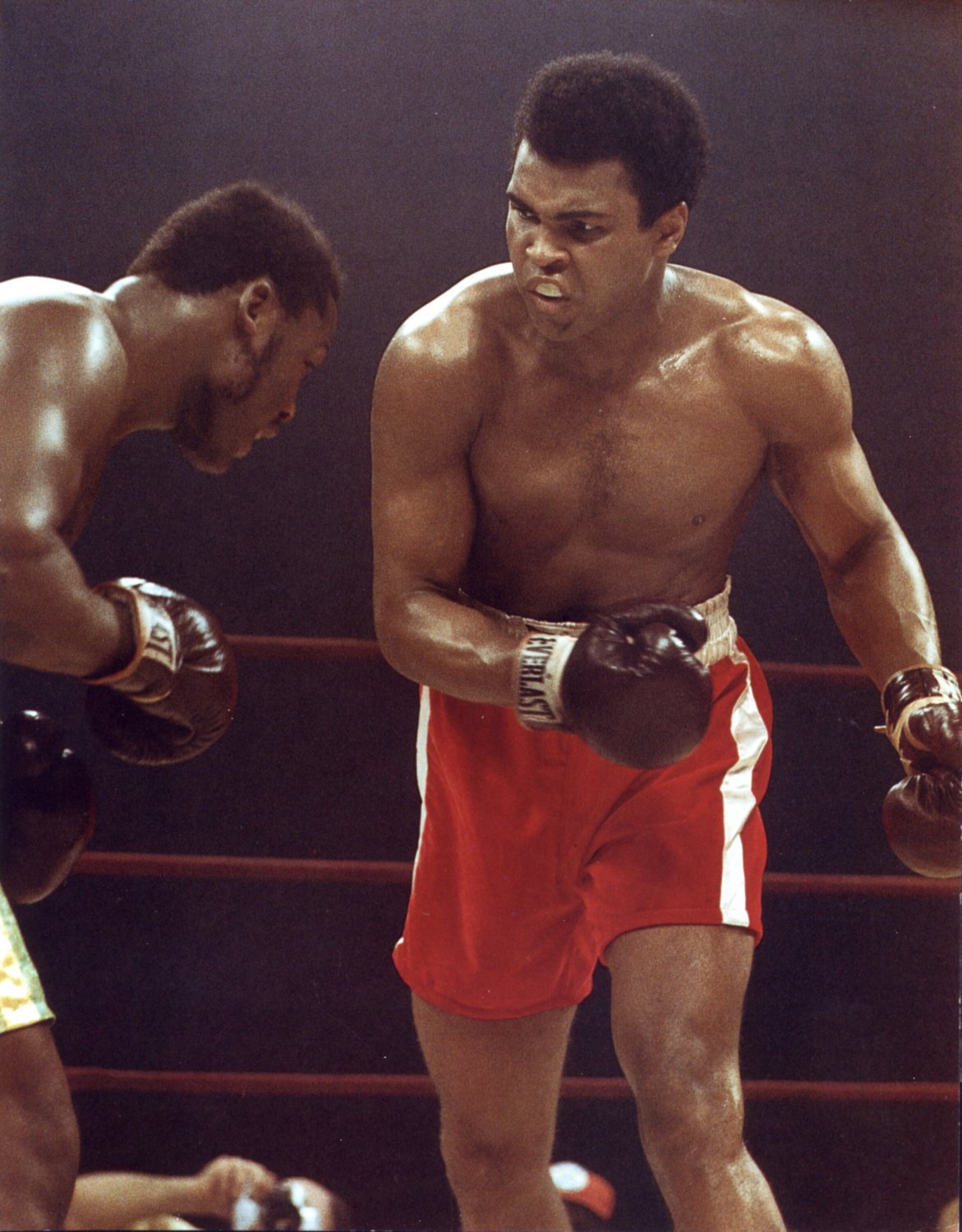 Muhammad Ali Photo Joe Frazier Heavyweight Boxing Champions