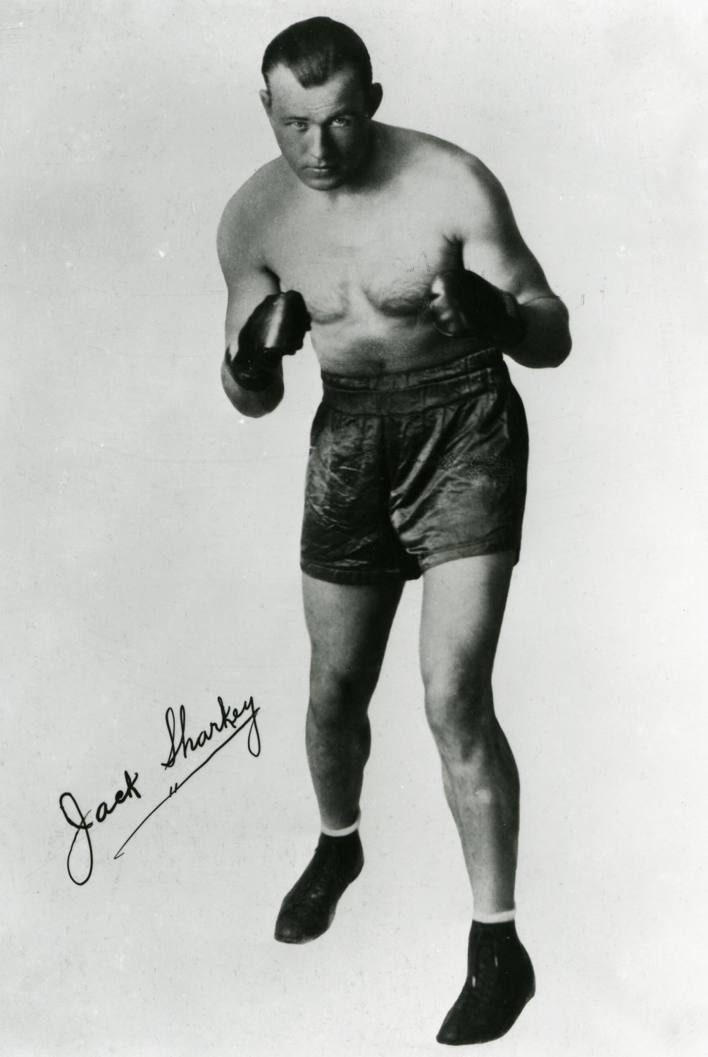 Jack Sharkey Photo Heavyweight Boxing Champion 1095