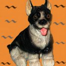 Boston Terrier
